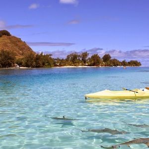 Meet your Posher, Nuha